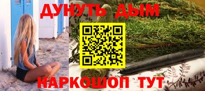 шишки Кингисепп