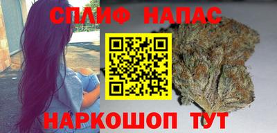 шишки Кингисепп