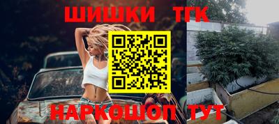 шишки Кингисепп