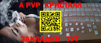 шишки Кингисепп